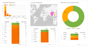 google analytics user overview